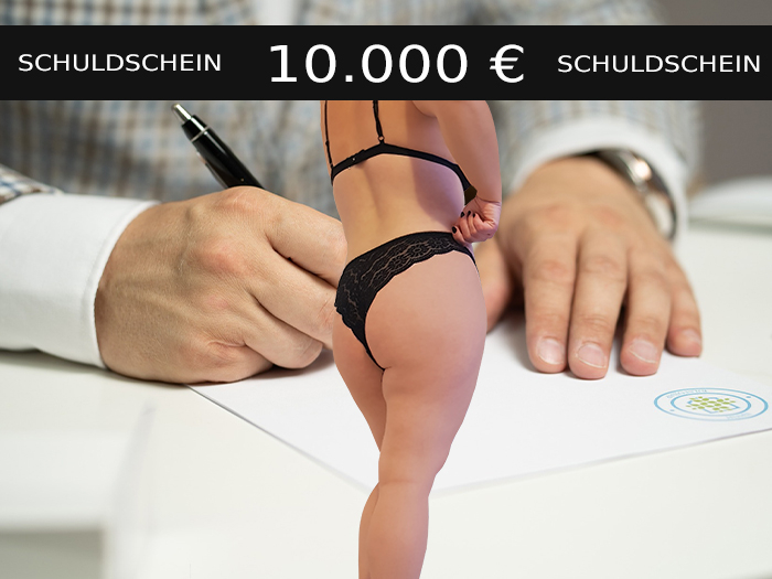 Schuldschein - 10.000 Euro Gesamtschuld - 36 Monate